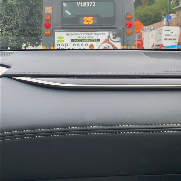 Meet your Posher, Portia - Picture 1 of 1